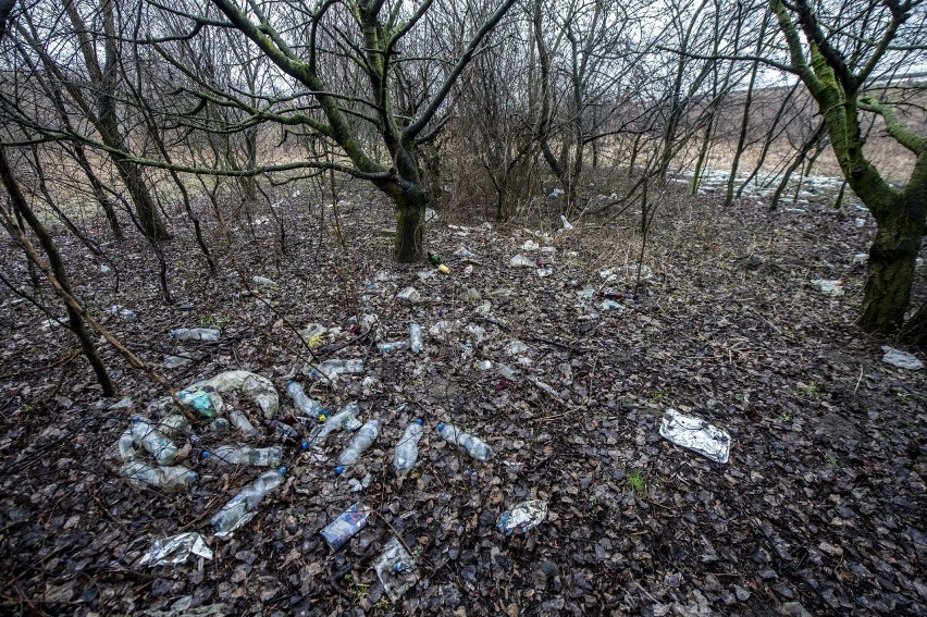 Wysypisko butelek przy ul. Kurlandzkiej i Krzywoustego