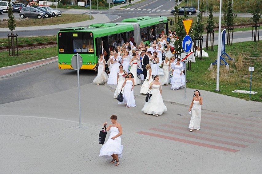 Akcja charytatywna: Panny Młode na Termach Maltańskich [ZDJĘCIA, WIDEO]