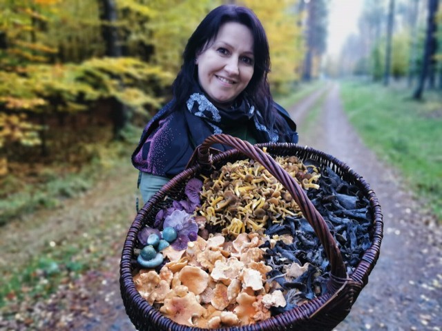 Niektóre leśne grzyby na fotografiach pani Agnieszki prezentują się zjawiskowo