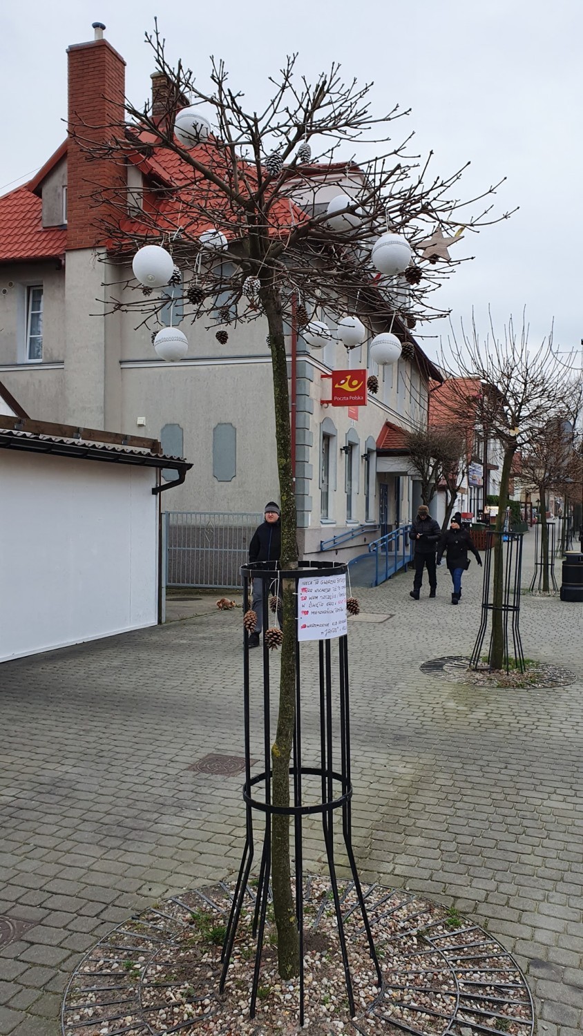 Helscy seniorzy na ul. Wiejskiej udekorowali dwa drzewka. A Jantarom pomogli strażacy z OSP Hel