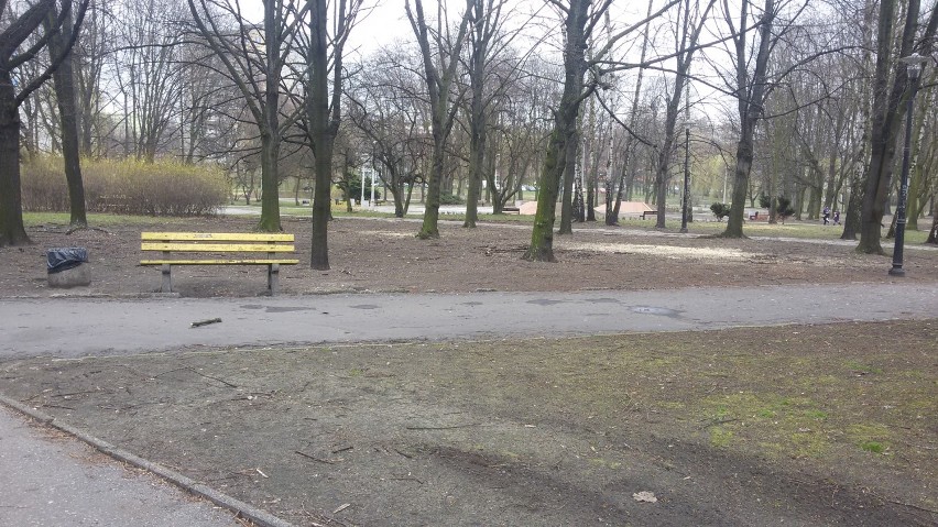 Park w Sosnowcu przy ul. Mościckiego odwiedzany jest przez...