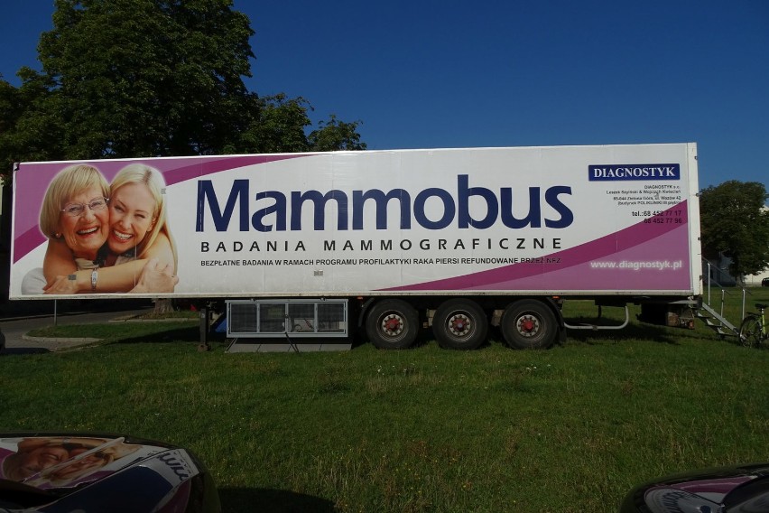 Mammobus we Wschowie