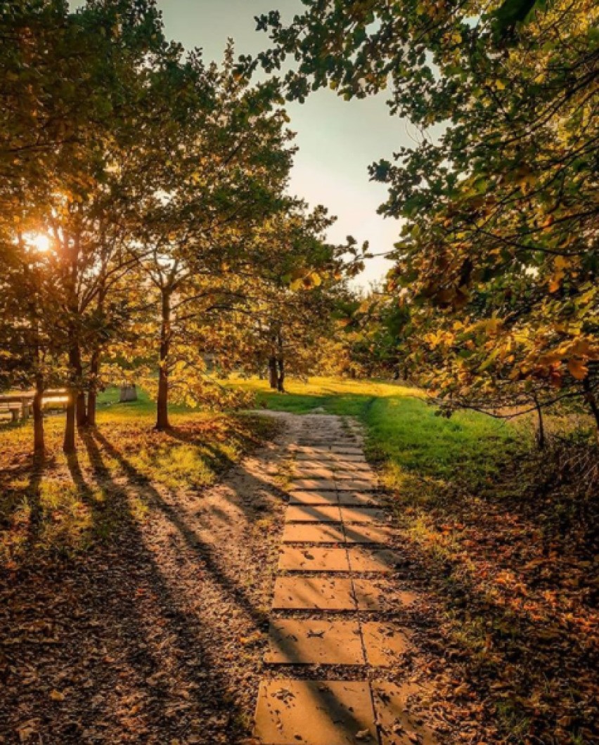 Jesień w obiektywie oleśniczan. Zobacz TOP 10 ujęć z Instagrama