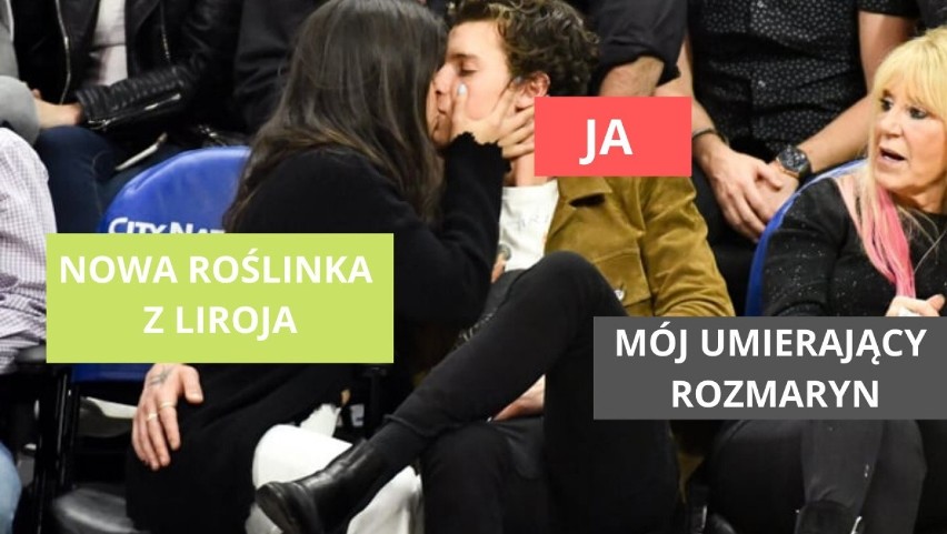 Podlewałeś rośliny łzami? Te MEMY są dla ciebie... i o tobie