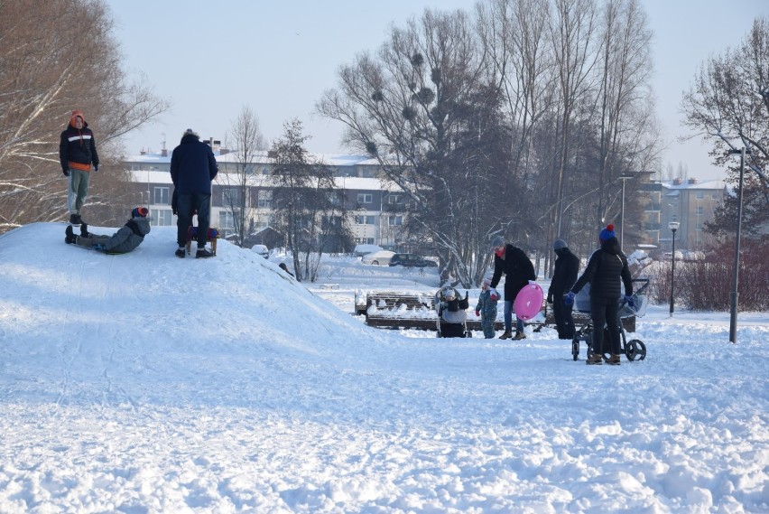 Zimowy spacer po Pruszczu Gdańskim. Mimo mrozu pruszczanie wybrali się na spacer, sanki, kijki |ZDJĘCIA