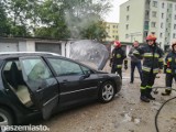 Płonął samochód przy ul. Smoleńskiego [wideo, zdjęcia]