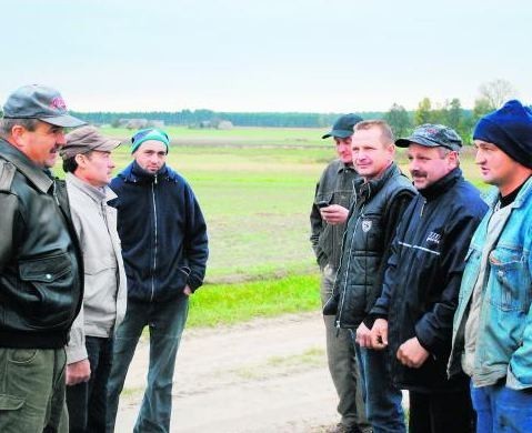 Zdaniem rolników wzrost pogłowia dzików nastąpił w ciągu kilku ostatnich lat