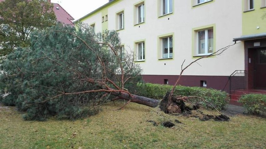 UWAGA! Po Ksawerym i Grzegorzu przyjdzie Marcin