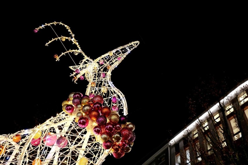 Świąteczna iluminacja na placu Pięciu Rogów.