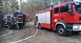 Pożar ściółki leśnej w Lędowie koło Ustki (zdjęcia)