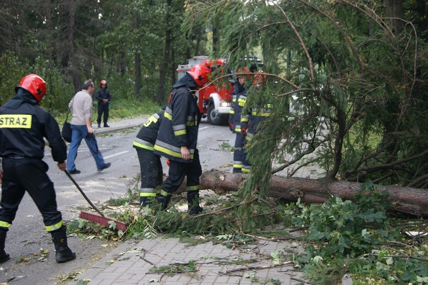 Podhale: Pod Tatrami szaleje Halny. Powalone drzewa tarasują drogę