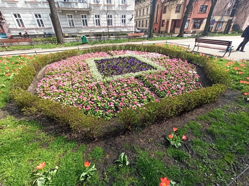 Wiosna na plantach Jana Pawła II w Rawiczu