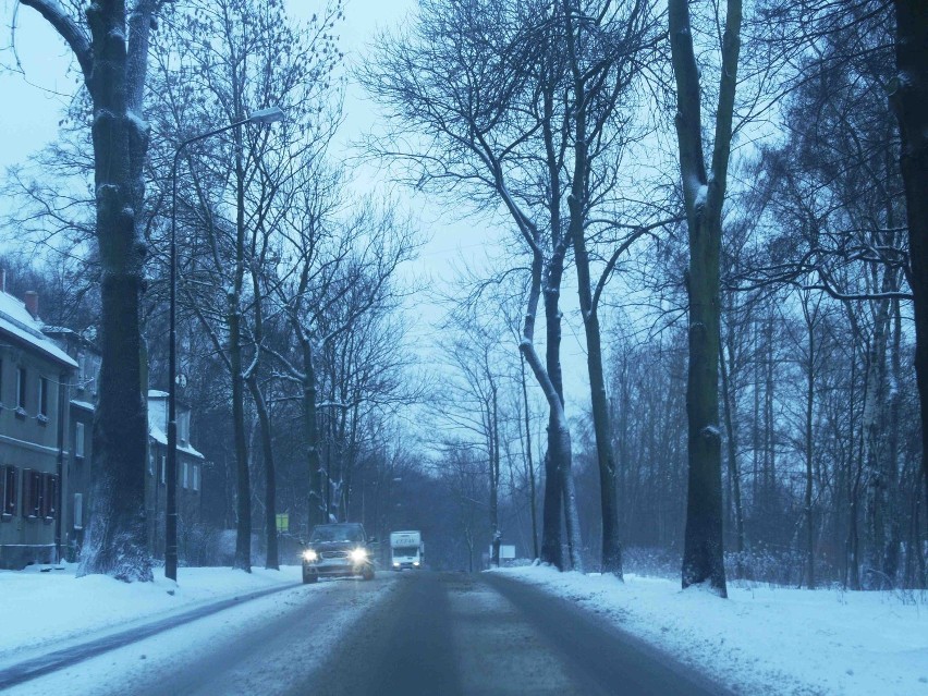 Atak zimy na ulicach Zabrza. Śnieg utrudnia komunikację [ZDJĘCIA]