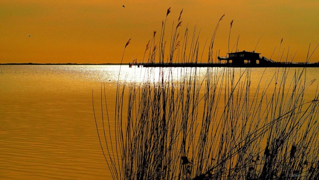 Foto Puck - rybackie i wodniackie miasto nad Zatoką Pucką