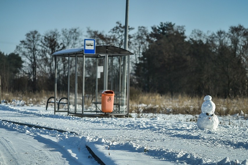 Zima w Lesznie. Zobaczcie zdjęcia zakątków miasta przykrytych przez śnieg