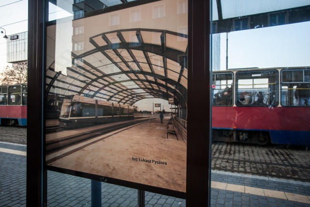 Jedna z fotografii ozdabia już wiatę przystanku tramwajowego w pobliżu dworca PKP Bydgoszcz Główna