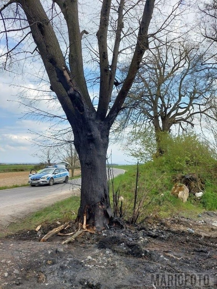 Kierowca stracił panowanie i uderzył w drzewo. Spłonął na miejscu w samochodzie