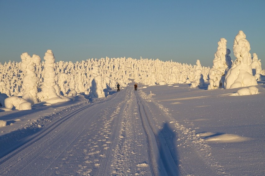 Finowie wierzą, że Święty Mikołaj mieszka na północy ich...