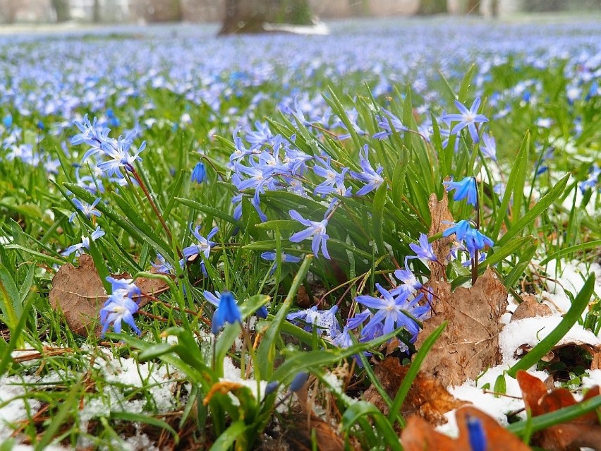 Pogoda na majówkę 2021. Majówka będzie pogodna? Majówka 2021 - pogoda 27.04.21 Prognoza pogody na maj 2021. Kiedy będzie ciepło?