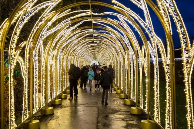 Królewski Ogród Światła 2018/2019 kontynuuje opowieść, która zaczęła się w ubiegłym sezonie. Goście odwiedzający wilanowski park po zmroku poczują się jak na królewskim dworze. Do pałacu poprowadzi 75-metrowy świetlisty tunel, w którym rozbrzmiewać będą utwory Jana Sebastiana Bacha, Johannesa Brahmsa czy Johanna Straussa II. Na dziedzińcu przywita odwiedzających strzeżona przez orły rozświetlona pergola, a w ogrodzie północnym będzie można zobaczć XVII-wieczną altanę. Mimo jesienno-zimowej aury światłem rozkwitną też drzewka pomarańczowe, a tuż obok nich będzie można zrobić sobie zdjęcie w świetlistej ramie z pałacem w tle. 

Kiedy: 2 listopada
Gdzie: Stanisława Kostki Potockiego 10/16
Bilety: bilet zwykły - 10 zł, bilet ulgowy - 5 zł