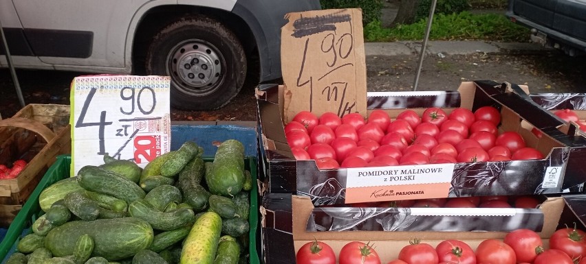 Ogórki gruntowe za 4,90 za kilogram, jedne z tańszych na...