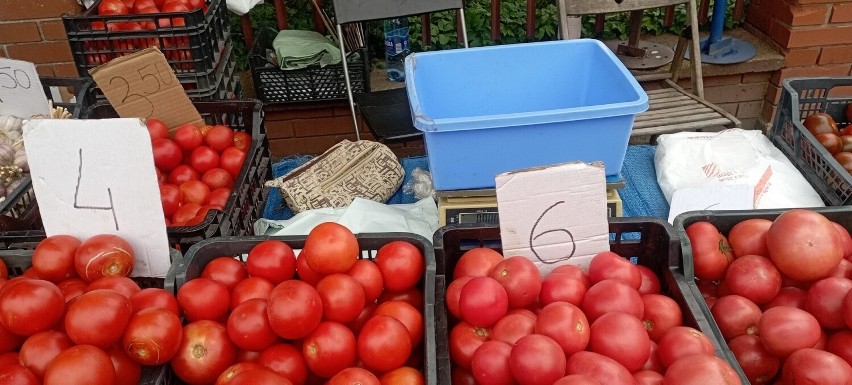 Pomidory od 3,50 złotych do 6 złotych za kilogram.