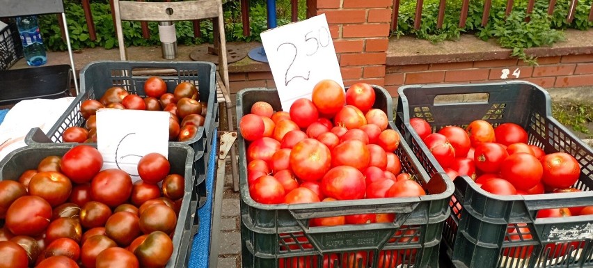Tu pomidory już taniej, 2,50 złotych za kilogram i za 6...