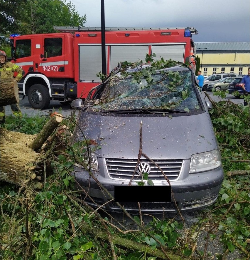 Drzewo zniszczyło część pasażerską volkswagena. Straty...