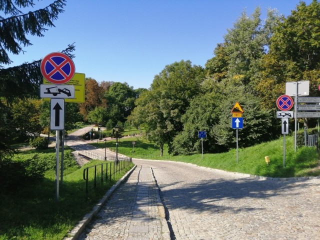 Pozostawienie samochodu na poboczu drogi lub niewielkiej polanie grozi mandatem i odholowaniem.