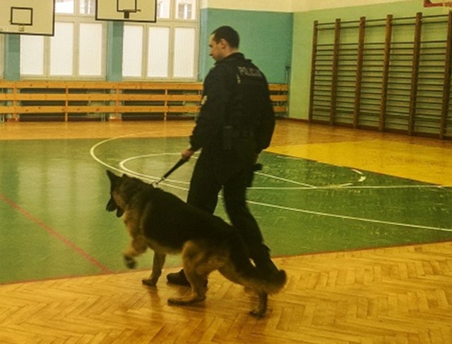 Stargardzki policjant z psem służbowym na ostatnim pokazie w Zespole Szkół Ogólnokształcących.