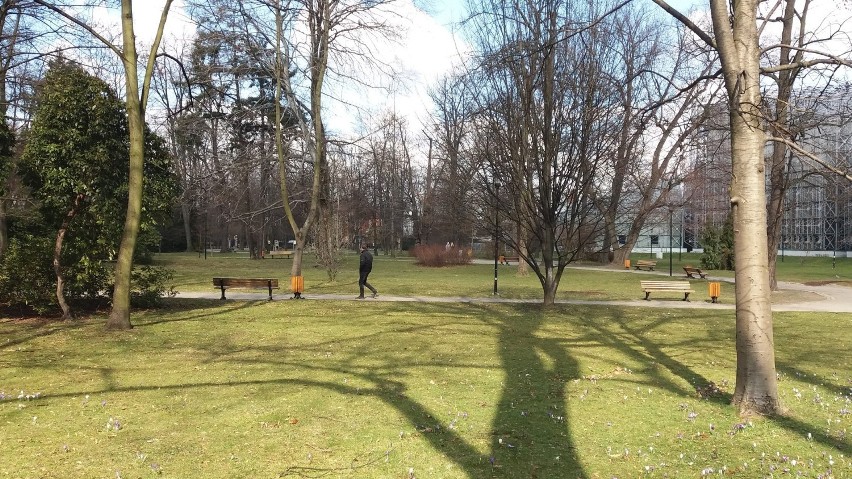 Wiosna w Gliwicach. Zobaczcie, jak pięknie jest w Parku Chopina ZDJĘCIA