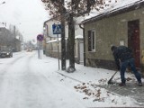 Góra. Pierwszy śnieg tej zimy w Górze. Zobaczcie miasto otulone białym puchem [ZDJĘCIA]