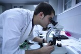 Antybiotyk odkryty przez naukowców z Bostonu pomoże w walce z opornymi szczepami bakterii