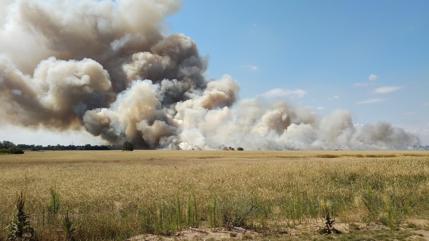 Wrocław: Pożar na Żernikach. Zewsząd widać dym [ZDJĘCIA]