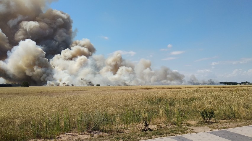 Wrocław: Pożar na Żernikach. Zewsząd widać dym [ZDJĘCIA]