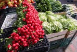 Brudna Dwunastka 2023. Te warzywa i owoce zawierają najwięcej pestycydów. Na liście znalazły się m.in. truskawki i jabłka. Co jeszcze? 11.05