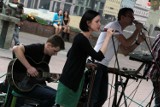 Piotrkowska: Podczas Trawników Kultury artyści grają nawet na pokrywkach od garnków [zdjęcia]