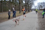 Zimowa Zadyszka 2019. Zwycięzcami biegu z psem byli Adam Kołodziej i jego Megi