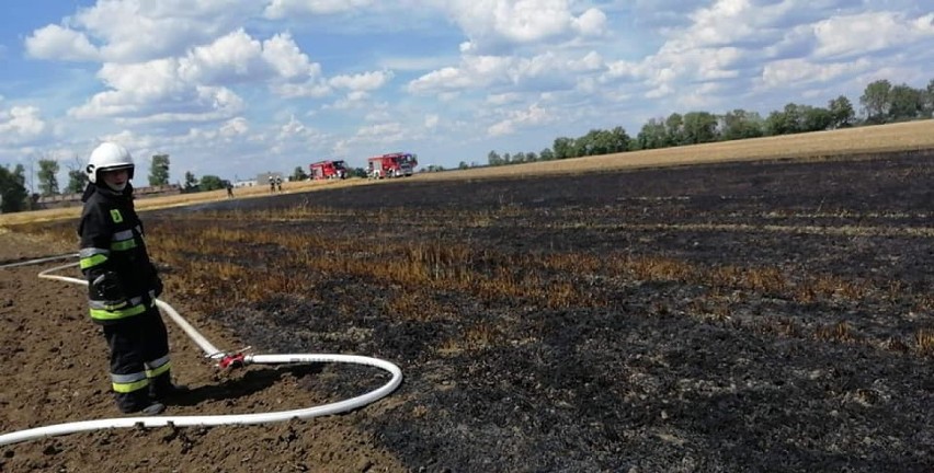 Wtorek i środa były bardzo pracowitymi dniami dla strażaków z Dobrzycy