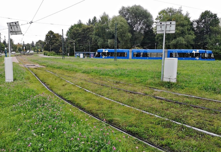 Kraków. Przebieg nowej linii tramwajowej do Mistrzejowic wzbudza obawy okolicznych mieszkańców [ZDJĘCIA]