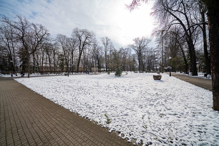 Sądeczanie zostają w domach. Puste Planty jak po apokalipsie [ZDJĘCIA] 