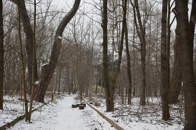 Park Grzegórzecki