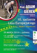 Las Europejski 2014 Dąbrowa Górnicza: posadzą las w Błędowie 