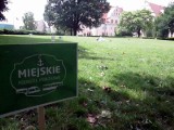 &quot;Miejskie Podróże Książkowe&quot; w Poznaniu [ZDJĘCIA]