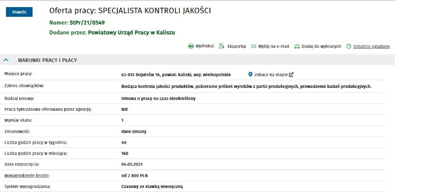 Nowe oferty pracy w Kaliszu i powiecie. Sprawdź ile można zarobić?