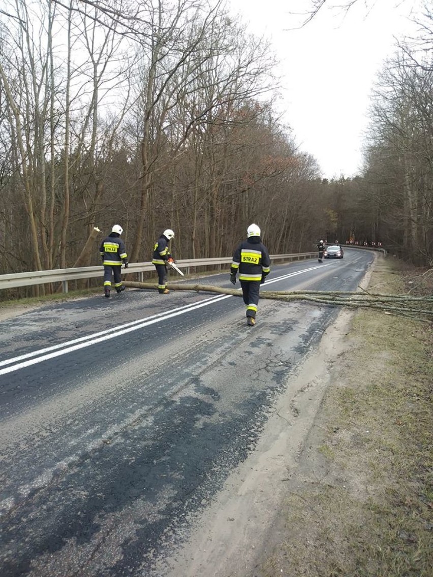 Przewrócone drzewo w Czapielsku i Jodłownie. Strażacy ostrzegają przed silnym wiatrem