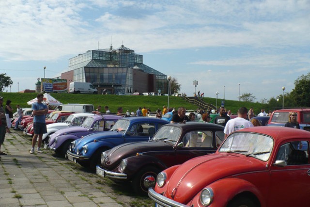 Na parking przed Palmiarnią (w tle) zlecieli się miłośnicy VW Garbusa &amp; CO. Fot. Jola Paczkowska