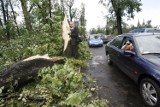 Trzynasta rocznica nawałnicy w Legnicy z 2009 roku, zobaczcie archiwalne zdjęcia