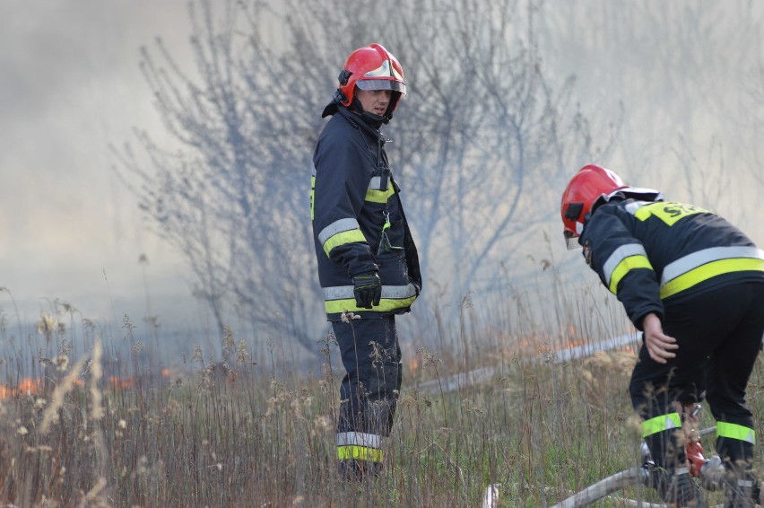 Duży pożar w Sokołowicach (FOTO)              