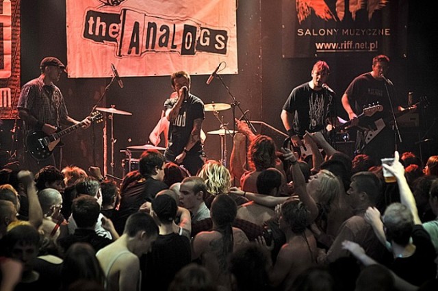 The Analogs czyli street punk Zielonej Górze.